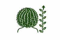 Hair growth and retention